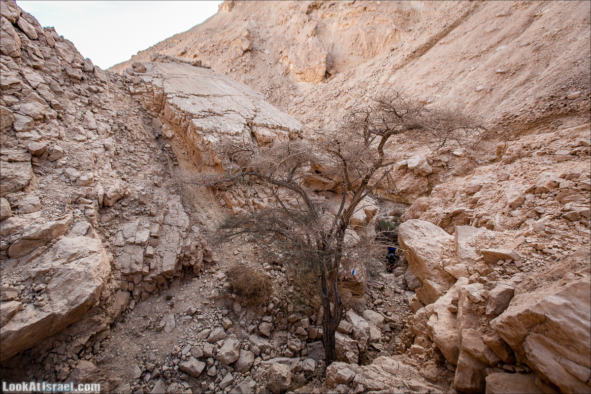 От Йотвата до Шахарут и обратно. 2-х дневный автономный маршрут | Hike from Yotvata to Shaharut and back | מסלול מיוטבתה לשחרות | LookAtIsrael.com - Фото путешествия по Израилю