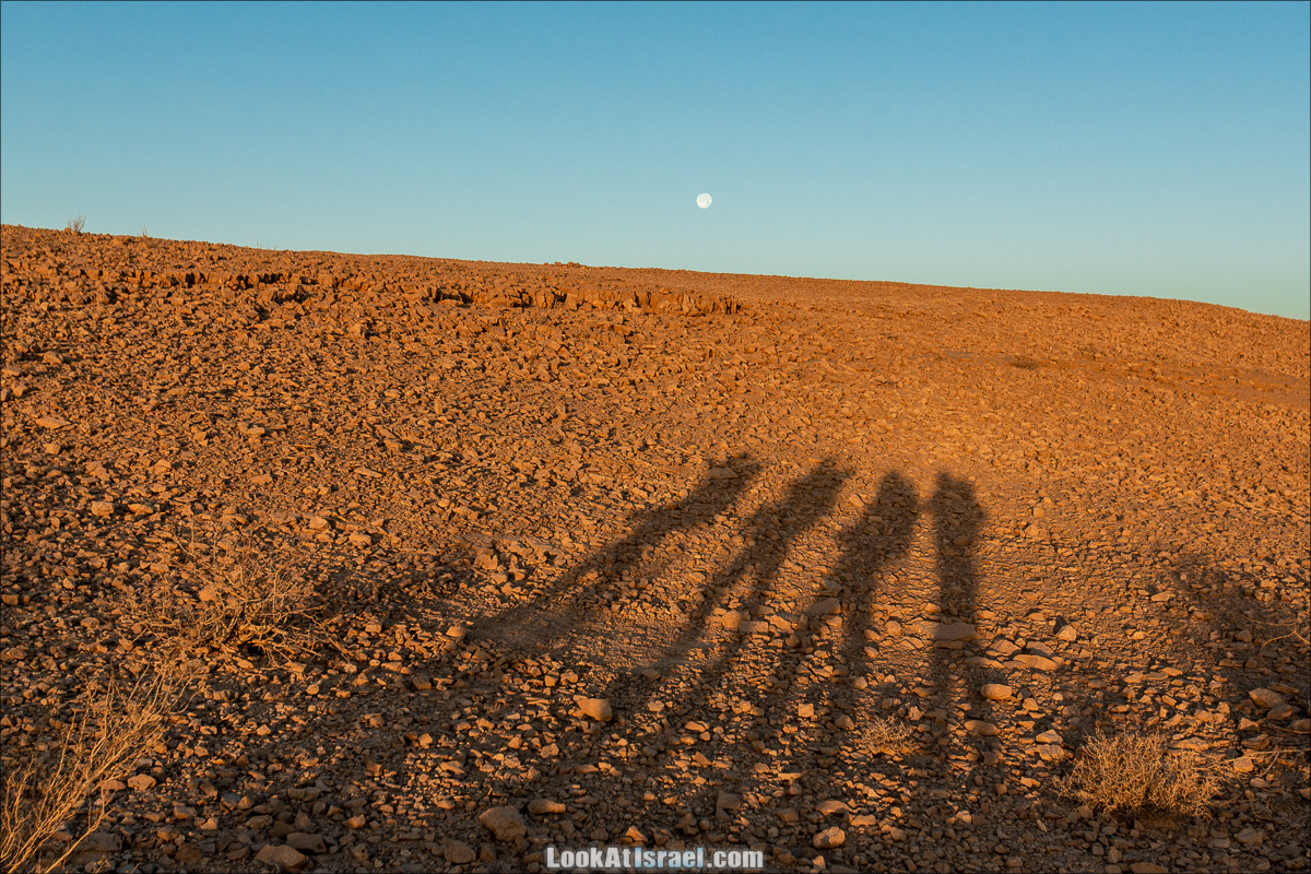 От Йотвата до Шахарут и обратно. 2-х дневный автономный маршрут | Hike from Yotvata to Shaharut and back | מסלול מיוטבתה לשחרות | LookAtIsrael.com - Фото путешествия по Израилю