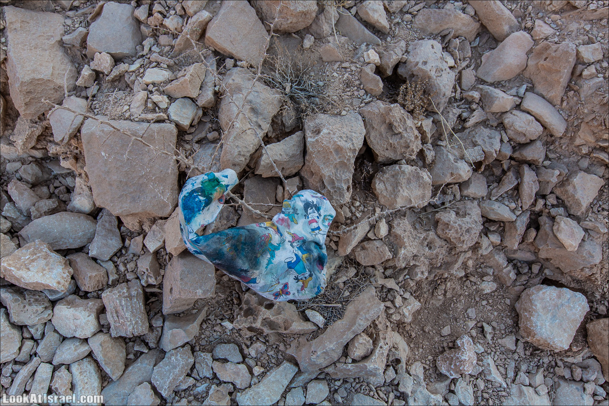 От Йотвата до Шахарут и обратно. 2-х дневный автономный маршрут | Hike from Yotvata to Shaharut and back | מסלול מיוטבתה לשחרות | LookAtIsrael.com - Фото путешествия по Израилю