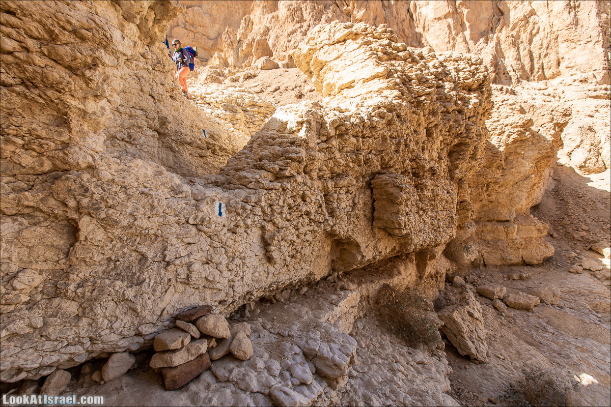От Йотвата до Шахарут и обратно. 2-х дневный автономный маршрут | Hike from Yotvata to Shaharut and back | מסלול מיוטבתה לשחרות | LookAtIsrael.com - Фото путешествия по Израилю
