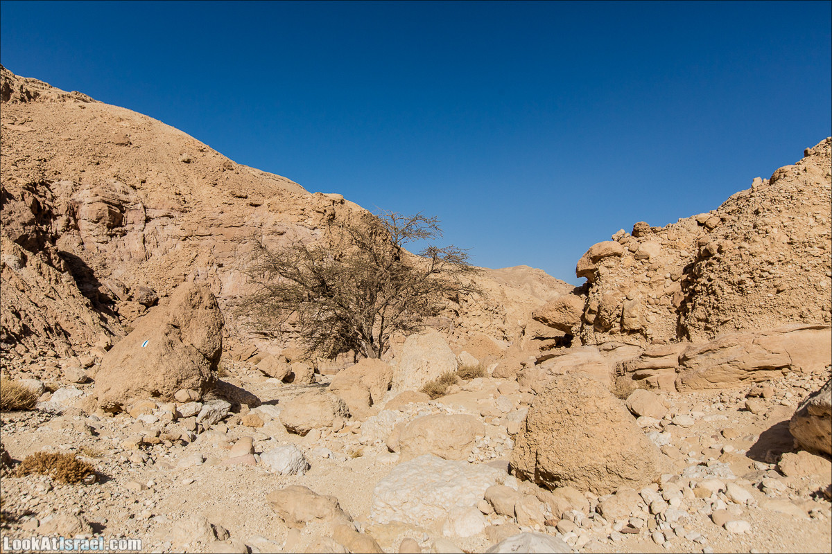От Йотвата до Шахарут и обратно. 2-х дневный автономный маршрут | Hike from Yotvata to Shaharut and back | מסלול מיוטבתה לשחרות | LookAtIsrael.com - Фото путешествия по Израилю
