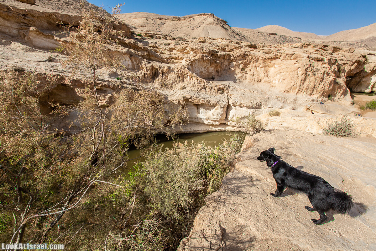 Источник Эйн Йоркам | Ein Yorqam | עין ירקעם | LookAtIsrael.com - Фото путешествия по Израилю