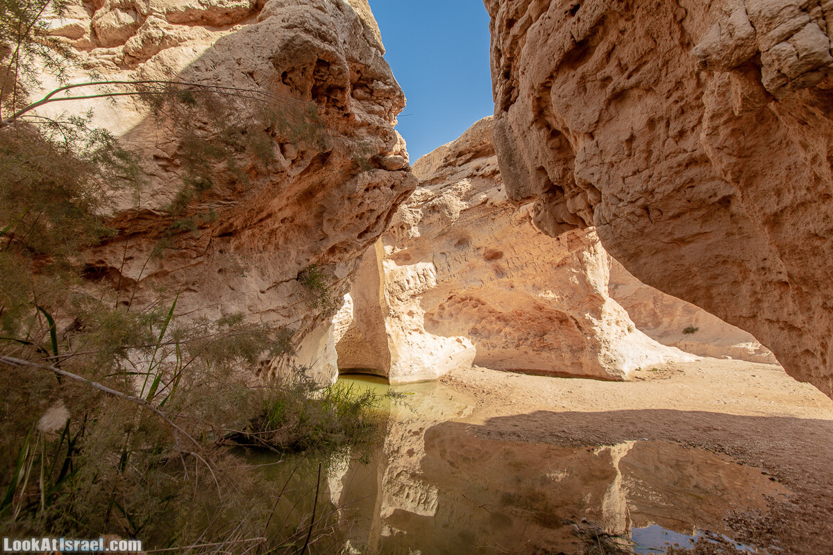 Источник Эйн Йоркам | Ein Yorqam | עין ירקעם | LookAtIsrael.com - Фото путешествия по Израилю