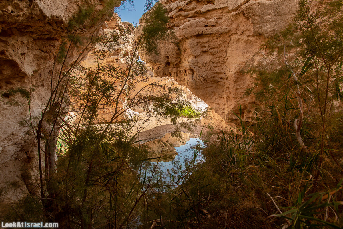 Источник Эйн Йоркам | Ein Yorqam | עין ירקעם | LookAtIsrael.com - Фото путешествия по Израилю