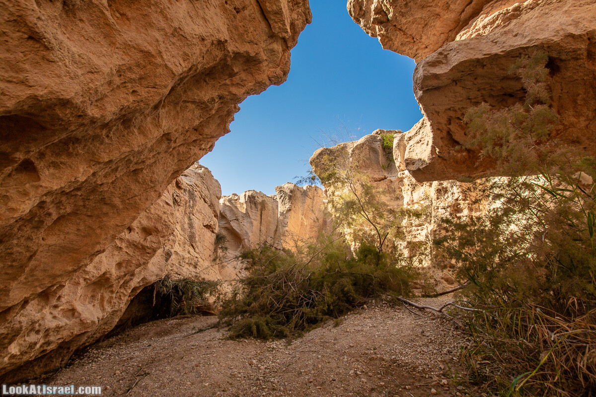 Источник Эйн Йоркам | Ein Yorqam | עין ירקעם | LookAtIsrael.com - Фото путешествия по Израилю