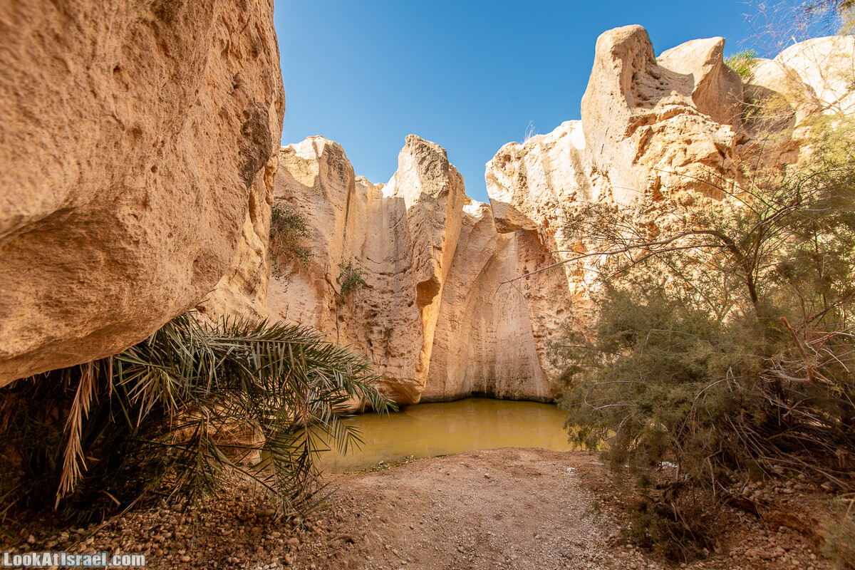 Источник Эйн Йоркам | Ein Yorqam | עין ירקעם | LookAtIsrael.com - Фото путешествия по Израилю