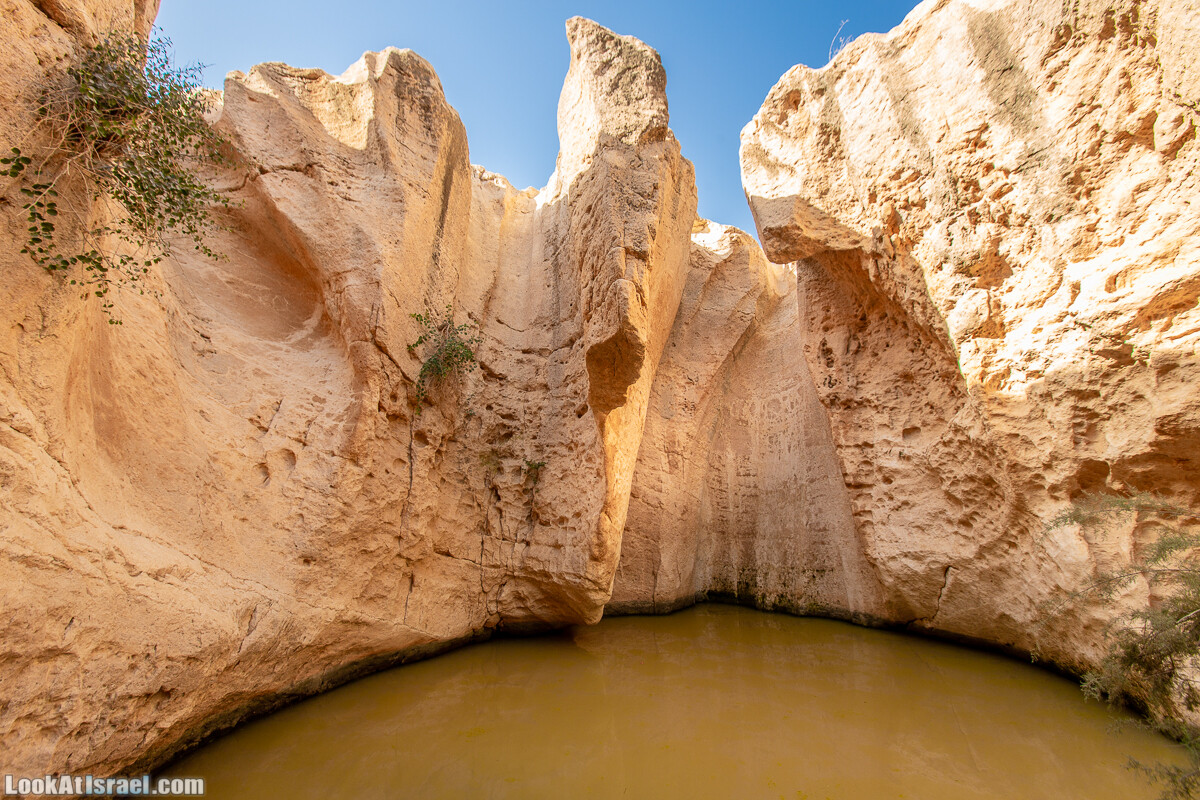 Источник Эйн Йоркам | Ein Yorqam | עין ירקעם | LookAtIsrael.com - Фото путешествия по Израилю