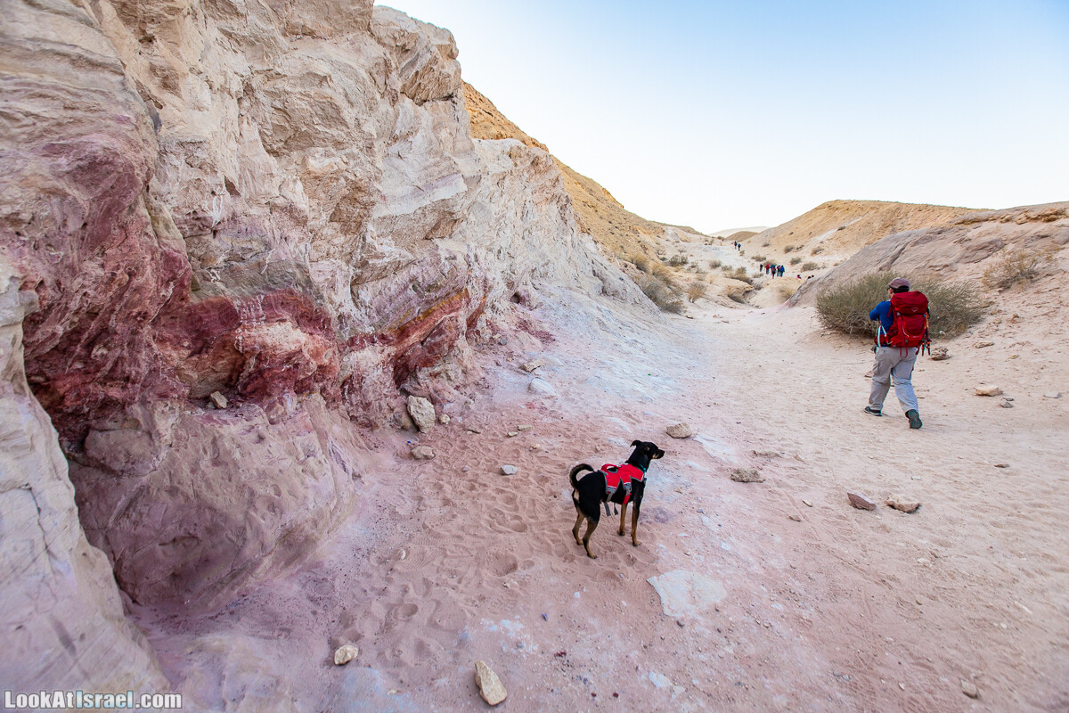 Махтеш Гадоль (Большой кратер) поход и аэро-фото съёмка | Makhtesh gadol (Large crater) | המכתש הכגדול | LookAtIsrael.com - Фото путешествия по Израилю