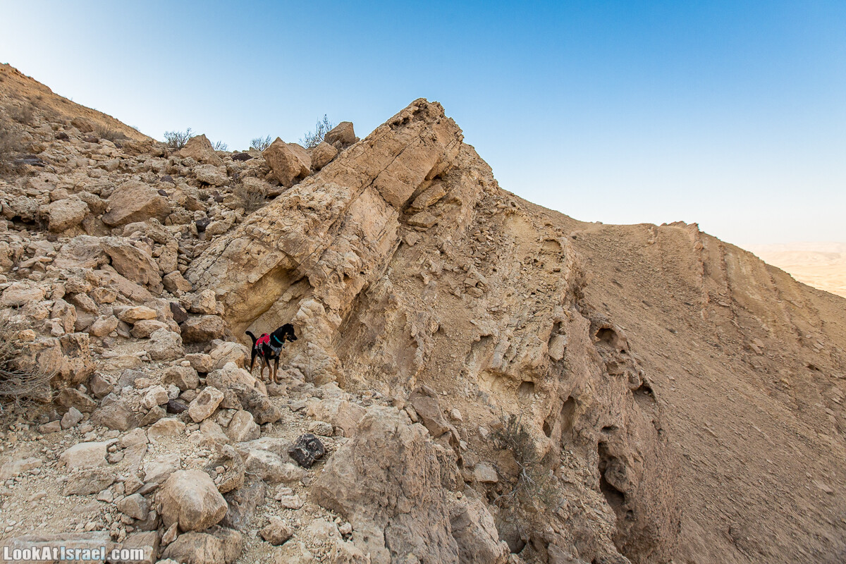 Махтеш Гадоль (Большой кратер) поход и аэро-фото съёмка | Makhtesh gadol (Large crater) | המכתש הכגדול | LookAtIsrael.com - Фото путешествия по Израилю