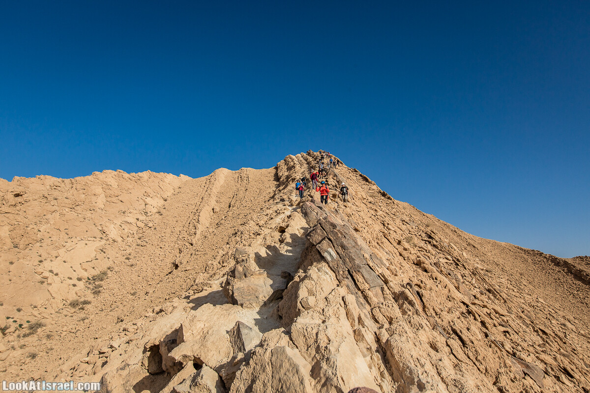 Махтеш Гадоль (Большой кратер) поход и аэро-фото съёмка | Makhtesh gadol (Large crater) | המכתש הכגדול | LookAtIsrael.com - Фото путешествия по Израилю