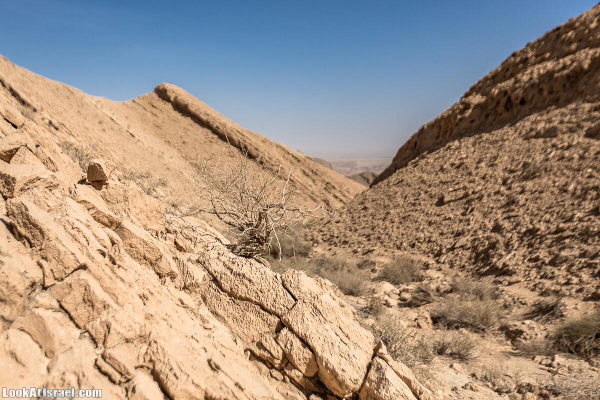 Махтеш Гадоль (Большой кратер) поход и аэро-фото съёмка | Makhtesh gadol (Large crater) | המכתש הכגדול | LookAtIsrael.com - Фото путешествия по Израилю