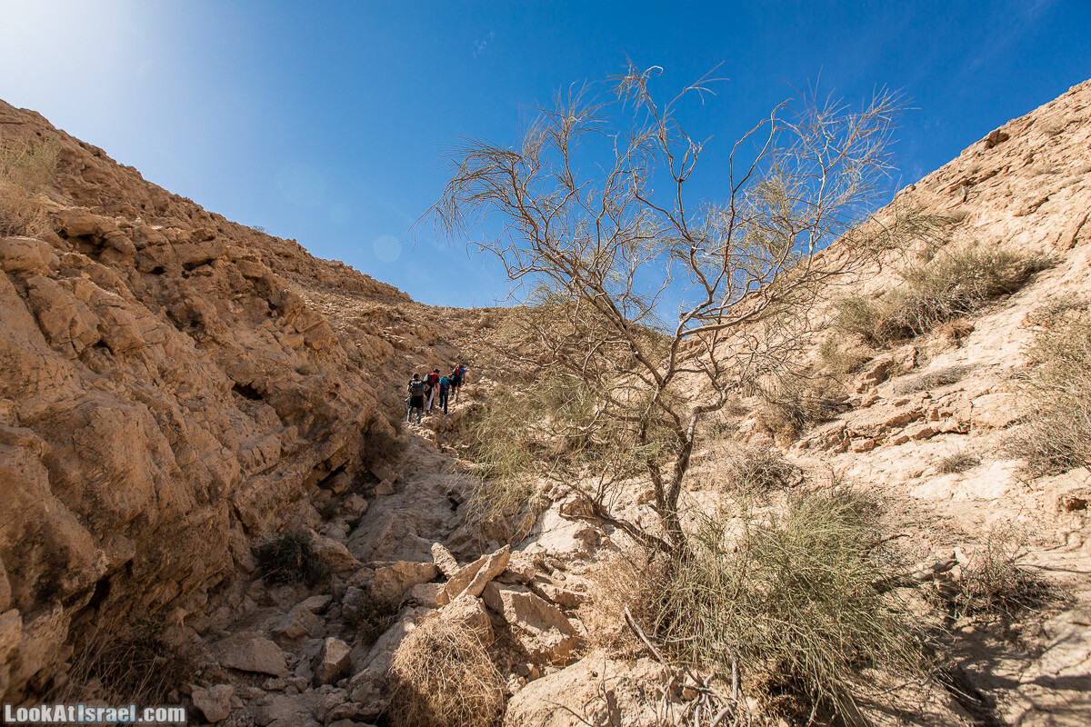 Махтеш Гадоль (Большой кратер) поход и аэро-фото съёмка | Makhtesh gadol (Large crater) | המכתש הכגדול | LookAtIsrael.com - Фото путешествия по Израилю