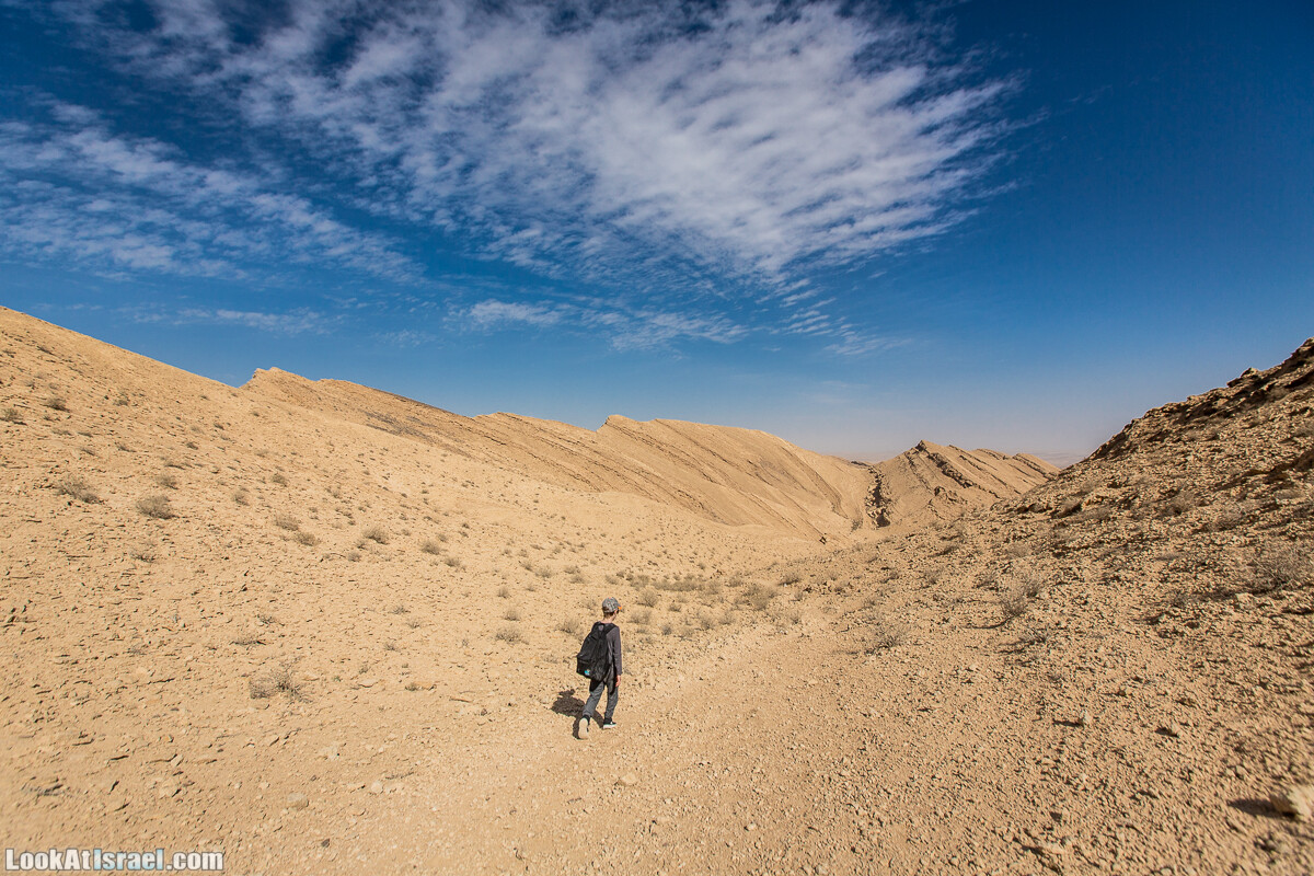 Махтеш Гадоль (Большой кратер) поход и аэро-фото съёмка | Makhtesh gadol (Large crater) | המכתש הכגדול | LookAtIsrael.com - Фото путешествия по Израилю