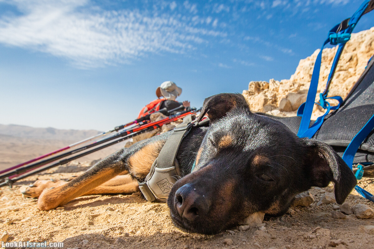 Махтеш Гадоль (Большой кратер) поход и аэро-фото съёмка | Makhtesh gadol (Large crater) | המכתש הכגדול | LookAtIsrael.com - Фото путешествия по Израилю