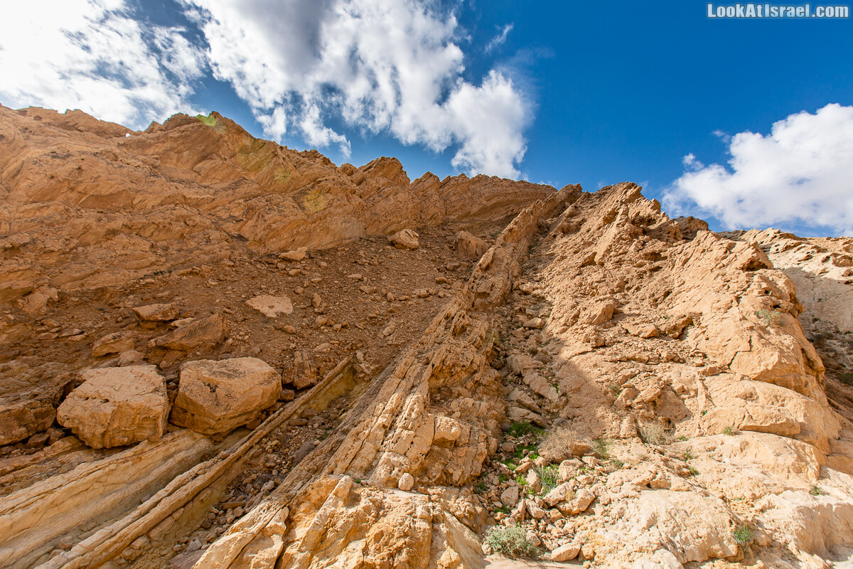 Махтеш Катан (Малый кратер) и Маале Эли | Small Makhtesh & Eli Ascent | מכתש הקטן ומעלה אלי | LookAtIsrael.com - Фото путешествия по Израилю