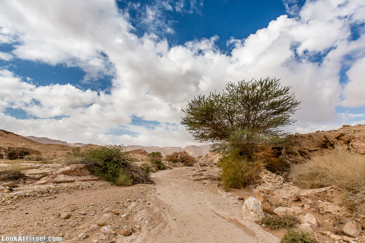 Махтеш Катан (Малый кратер) и Маале Эли | Small Makhtesh & Eli Ascent | מכתש הקטן ומעלה אלי | LookAtIsrael.com - Фото путешествия по Израилю