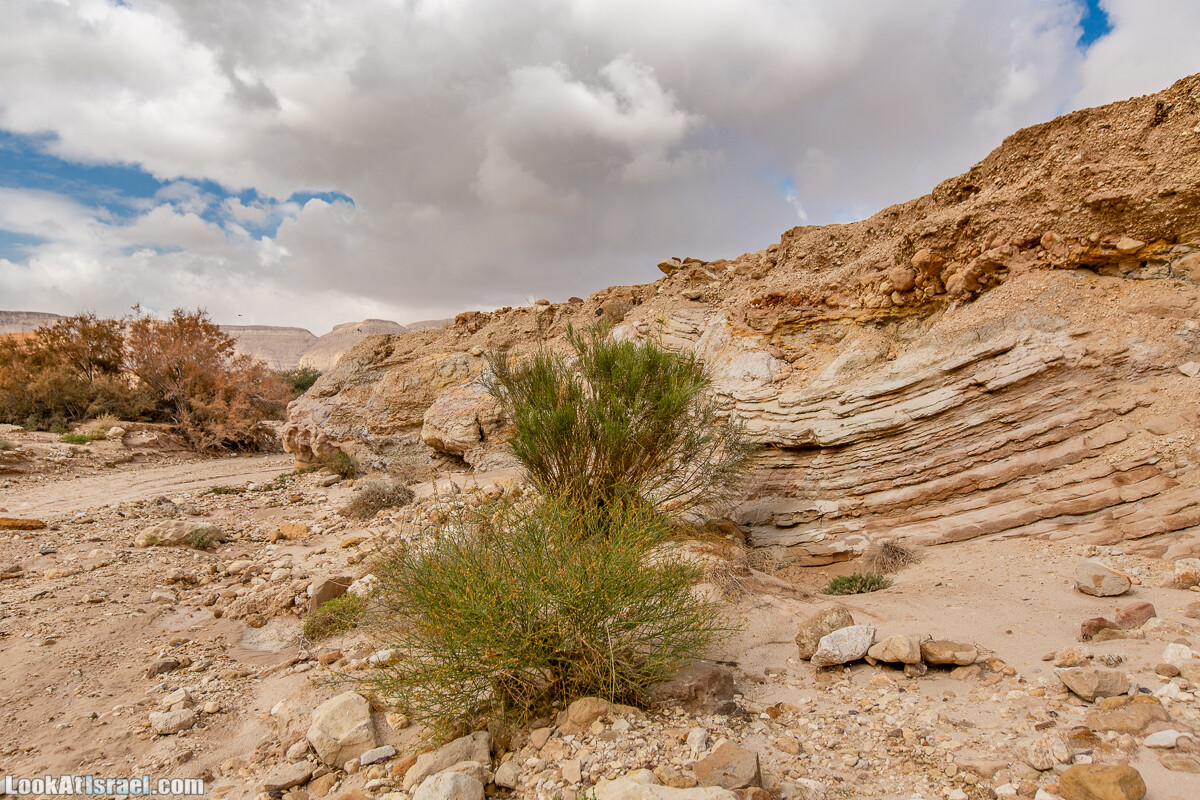 Махтеш Катан (Малый кратер) и Маале Эли | Small Makhtesh & Eli Ascent | מכתש הקטן ומעלה אלי | LookAtIsrael.com - Фото путешествия по Израилю