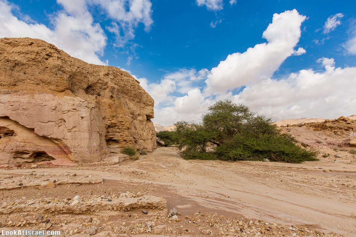Махтеш Катан (Малый кратер) и Маале Эли | Small Makhtesh & Eli Ascent | מכתש הקטן ומעלה אלי | LookAtIsrael.com - Фото путешествия по Израилю