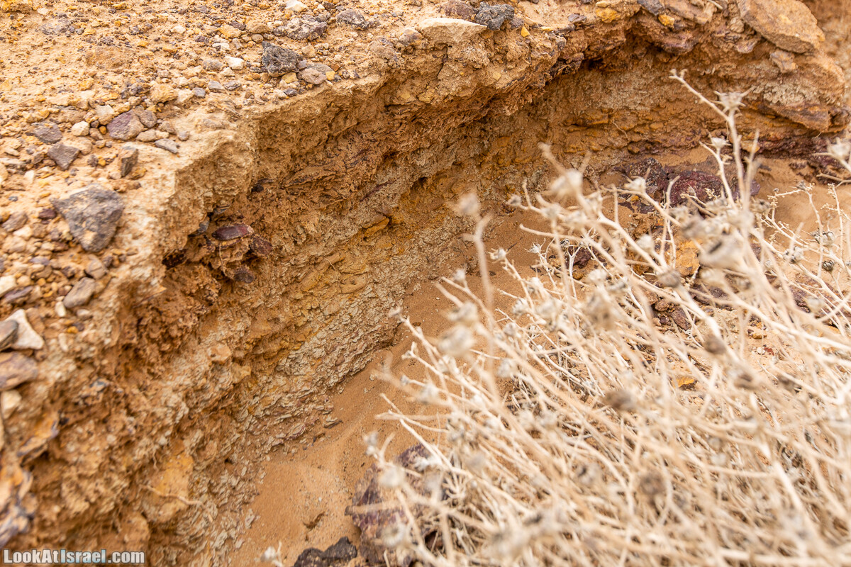 Махтеш Катан (Малый кратер) и Маале Эли | Small Makhtesh & Eli Ascent | מכתש הקטן ומעלה אלי | LookAtIsrael.com - Фото путешествия по Израилю