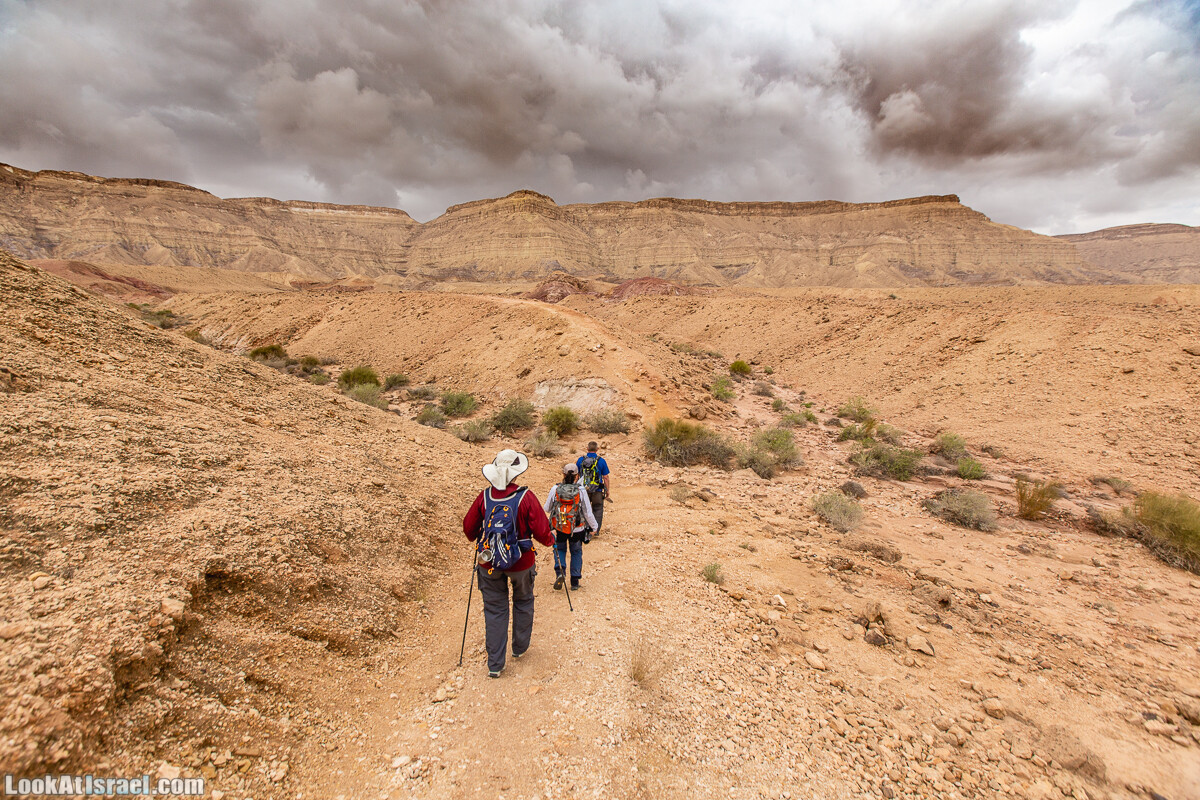 Махтеш Катан (Малый кратер) и Маале Эли | Small Makhtesh & Eli Ascent | מכתש הקטן ומעלה אלי | LookAtIsrael.com - Фото путешествия по Израилю