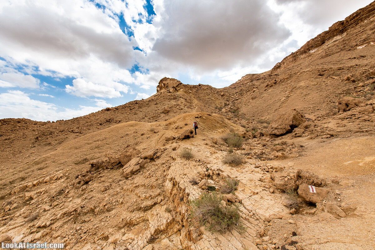 Махтеш Катан (Малый кратер) и Маале Эли | Small Makhtesh & Eli Ascent | מכתש הקטן ומעלה אלי | LookAtIsrael.com - Фото путешествия по Израилю
