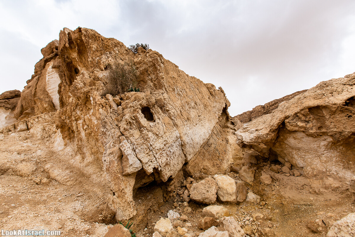 Махтеш Катан (Малый кратер) и Маале Эли | Small Makhtesh & Eli Ascent | מכתש הקטן ומעלה אלי | LookAtIsrael.com - Фото путешествия по Израилю