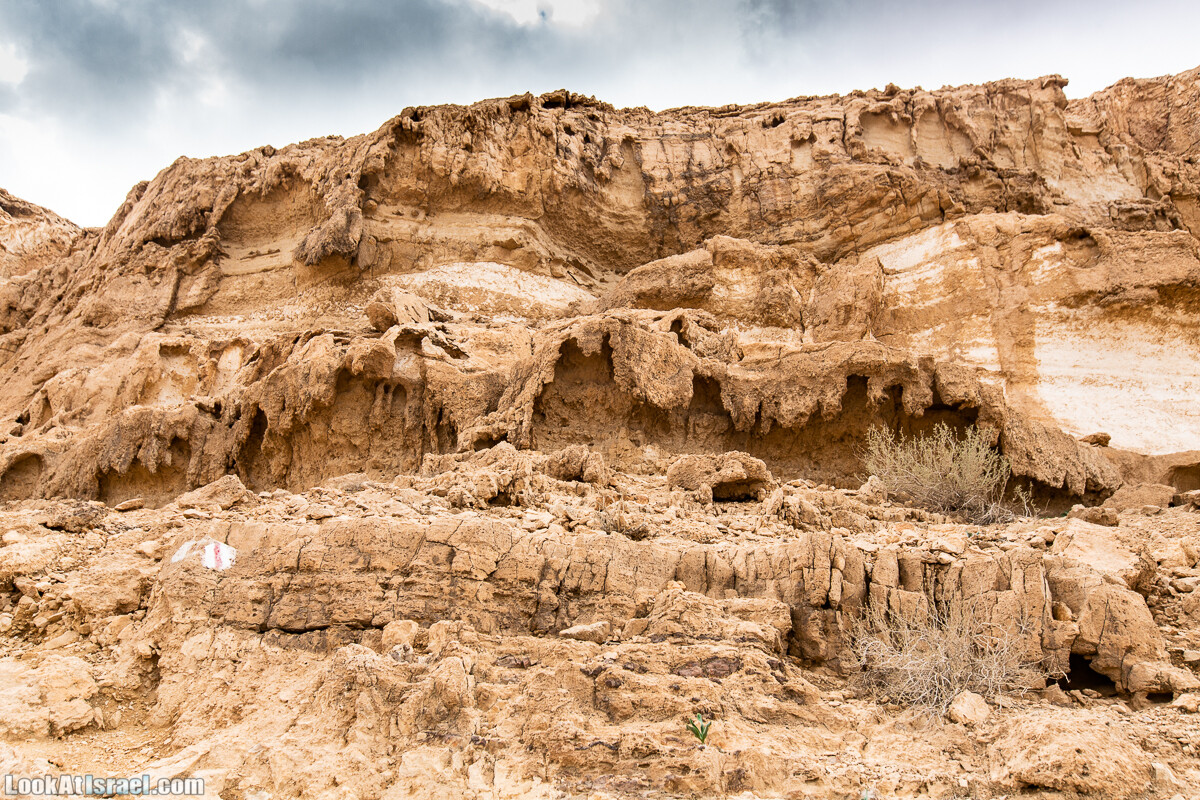 Махтеш Катан (Малый кратер) и Маале Эли | Small Makhtesh & Eli Ascent | מכתש הקטן ומעלה אלי | LookAtIsrael.com - Фото путешествия по Израилю