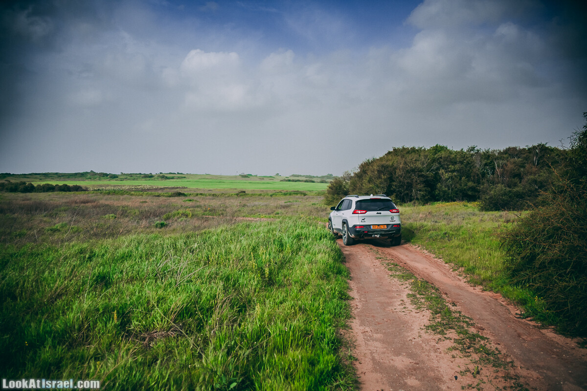 Тайны побережья: поля скульптур, покинутый пионерлагерь, харам на море и самаритяне
