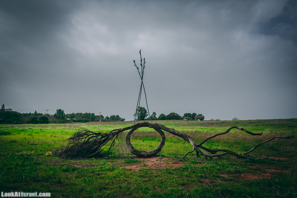 Побережье от Шфаим до Арсуф и Зеленая галерея - парк Дина - Сад скульптур на природе | LookAtIsrael.com - Фото путешествия по Израилю