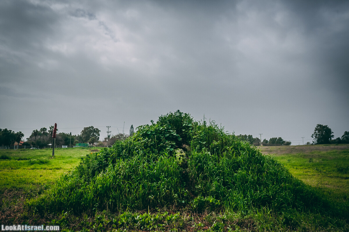 Побережье от Шфаим до Арсуф и Зеленая галерея - парк Дина - Сад скульптур на природе | LookAtIsrael.com - Фото путешествия по Израилю