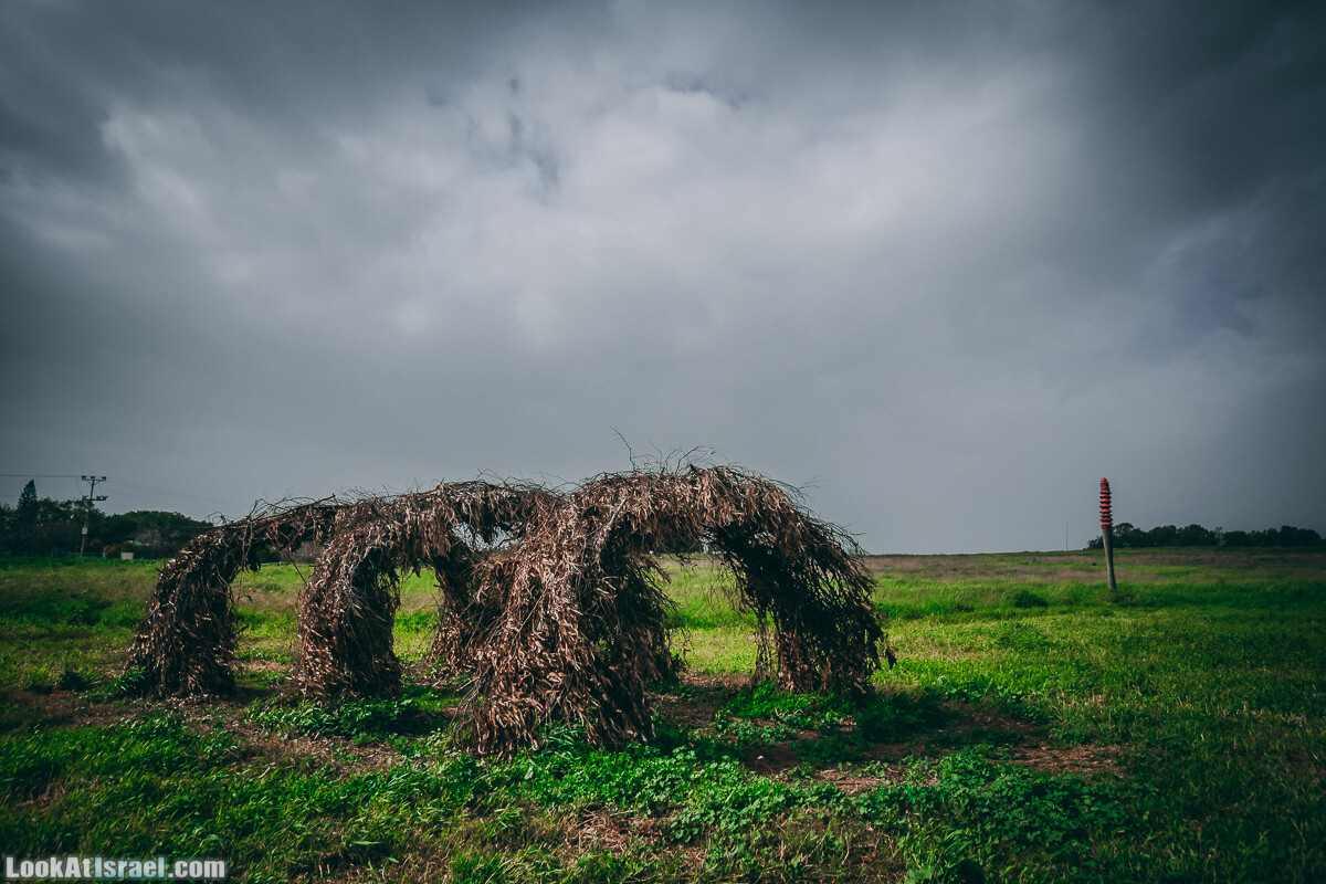 Побережье от Шфаим до Арсуф и Зеленая галерея - парк Дина - Сад скульптур на природе | LookAtIsrael.com - Фото путешествия по Израилю