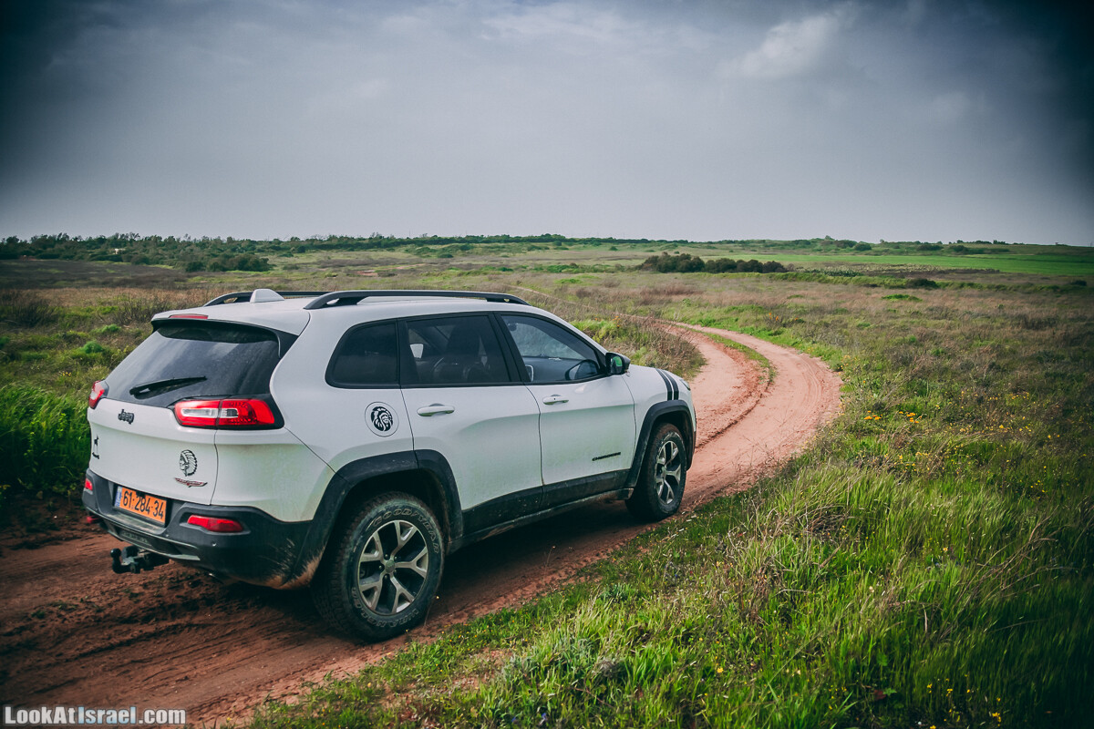 Побережье от Шфаим до Арсуф и Зеленая галерея - парк Дина - Сад скульптур на природе | LookAtIsrael.com - Фото путешествия по Израилю