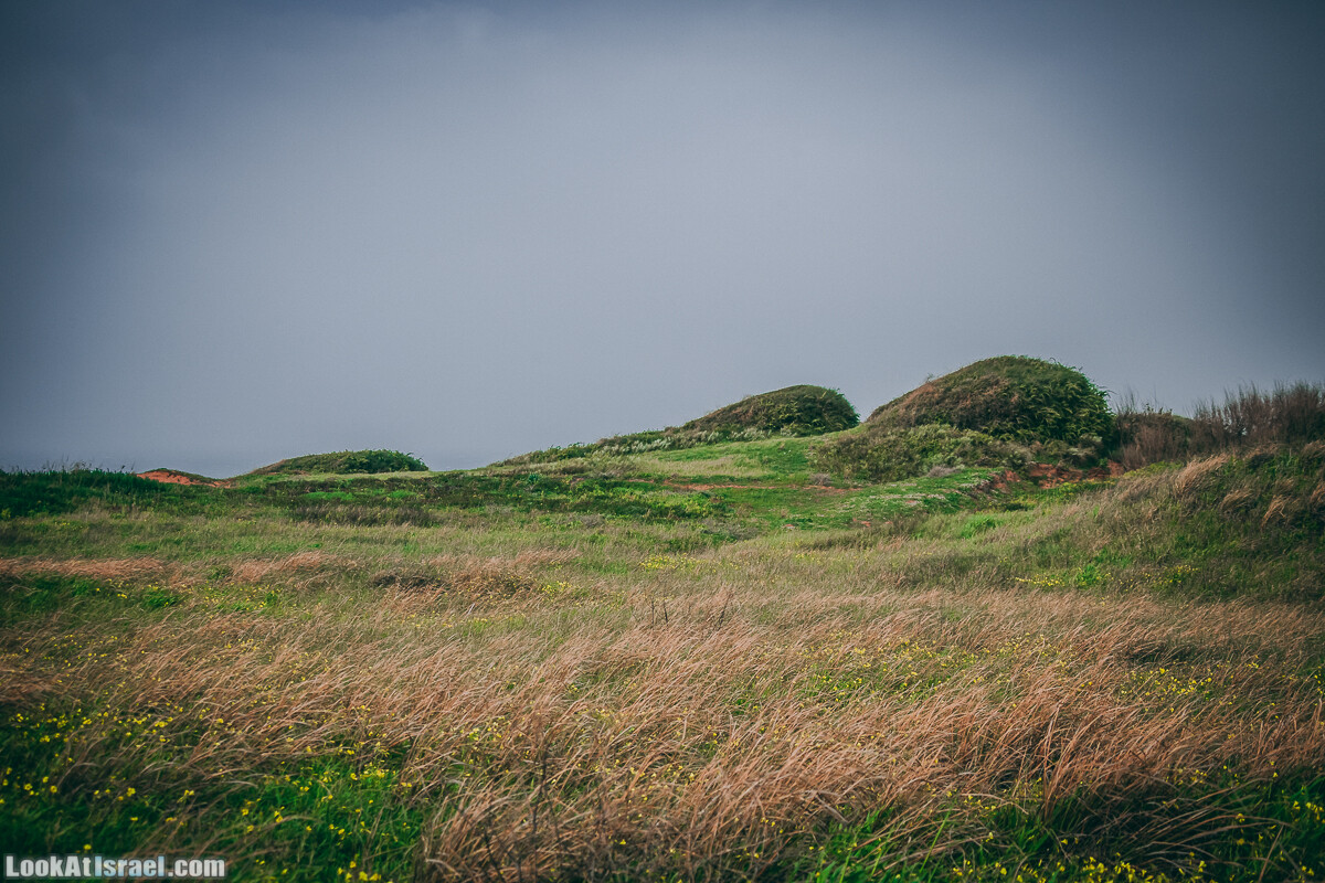 Побережье от Шфаим до Арсуф и Зеленая галерея - парк Дина - Сад скульптур на природе | LookAtIsrael.com - Фото путешествия по Израилю