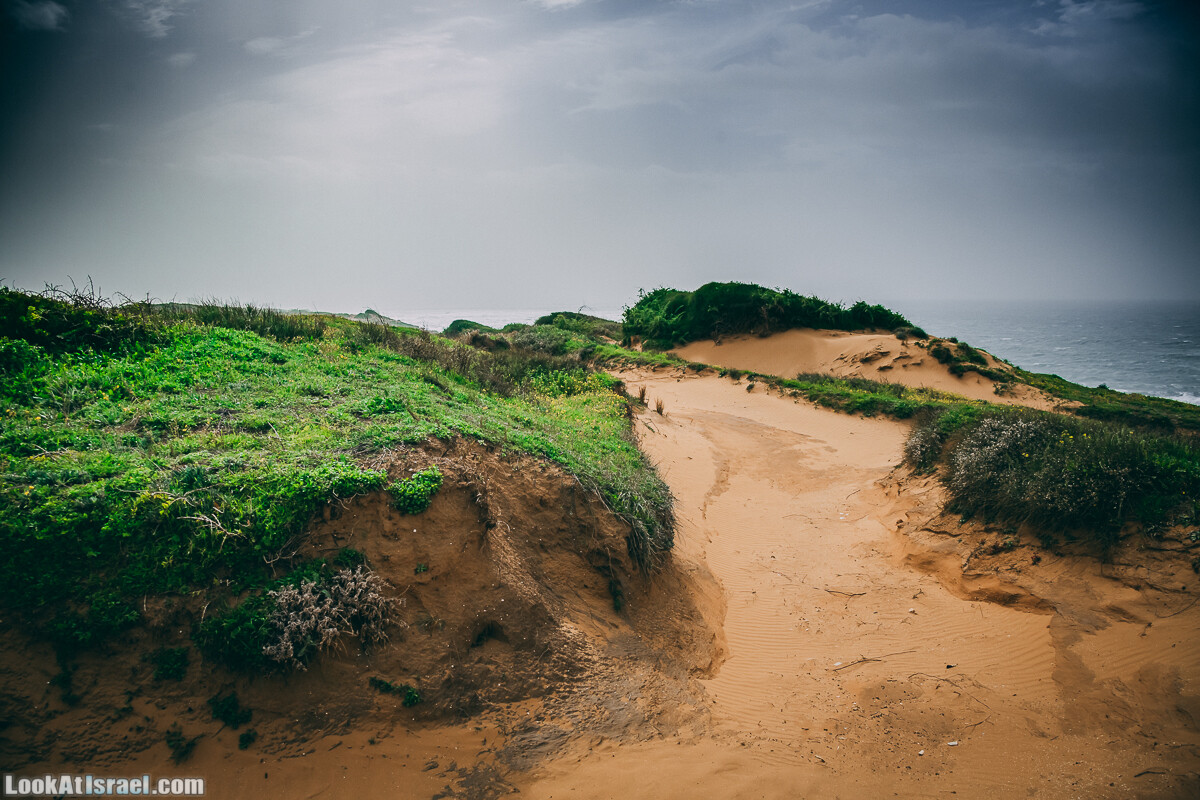 Побережье от Шфаим до Арсуф и Зеленая галерея - парк Дина - Сад скульптур на природе | LookAtIsrael.com - Фото путешествия по Израилю