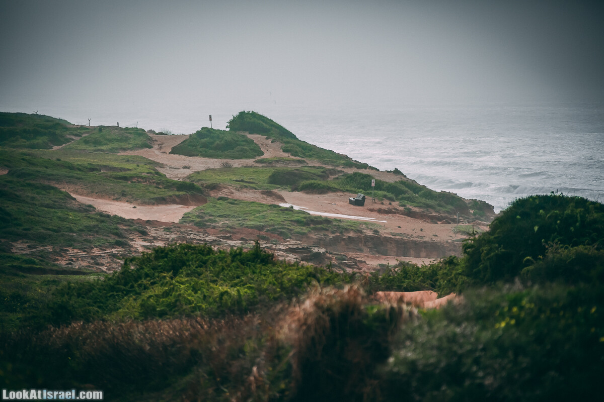 Побережье от Шфаим до Арсуф и Зеленая галерея - парк Дина - Сад скульптур на природе | LookAtIsrael.com - Фото путешествия по Израилю