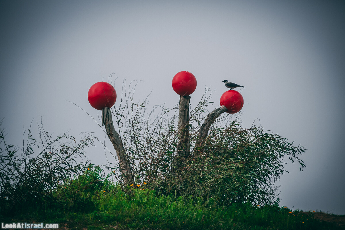 Побережье от Шфаим до Арсуф и Зеленая галерея - парк Дина - Сад скульптур на природе | LookAtIsrael.com - Фото путешествия по Израилю