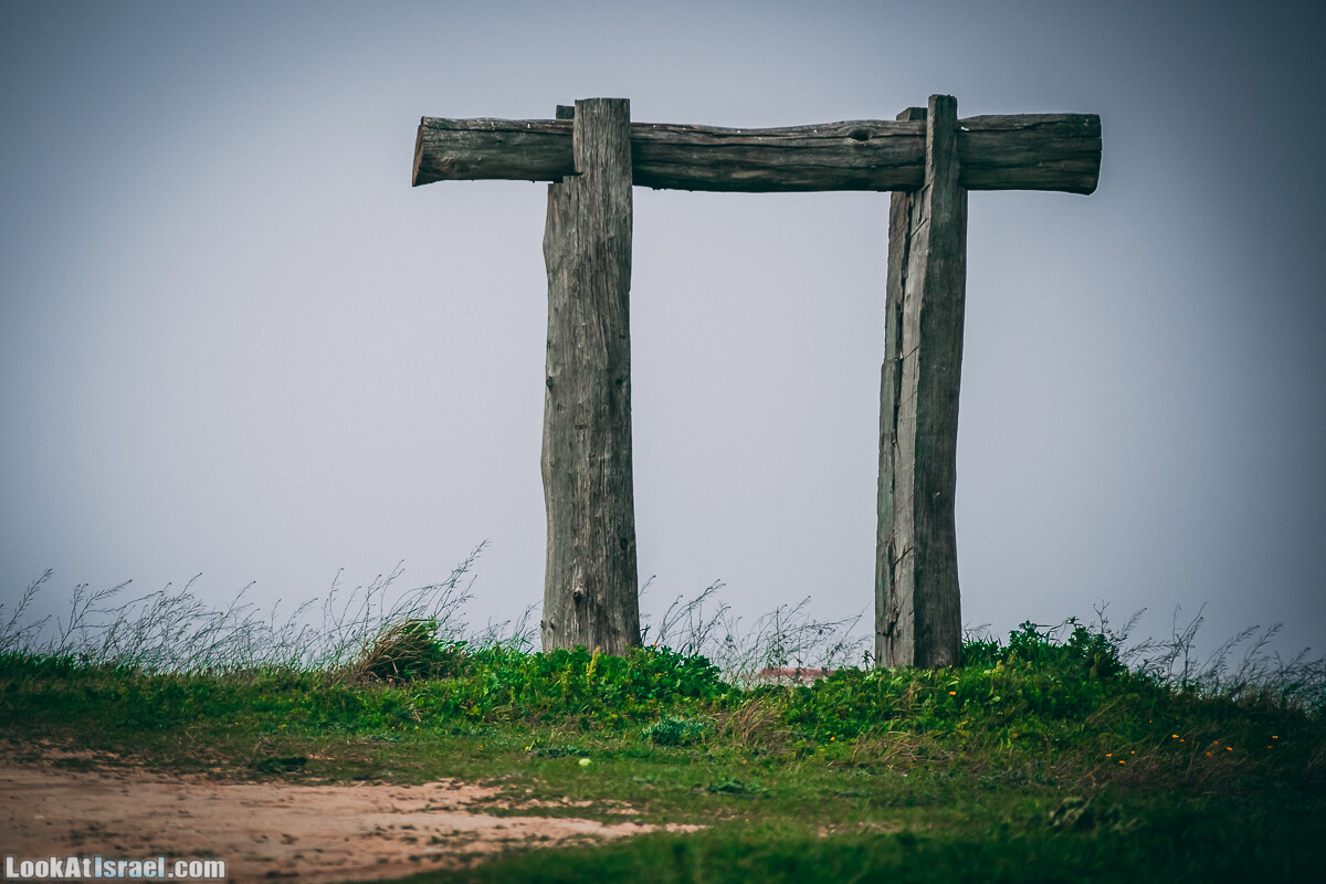 Побережье от Шфаим до Арсуф и Зеленая галерея - парк Дина - Сад скульптур на природе | LookAtIsrael.com - Фото путешествия по Израилю