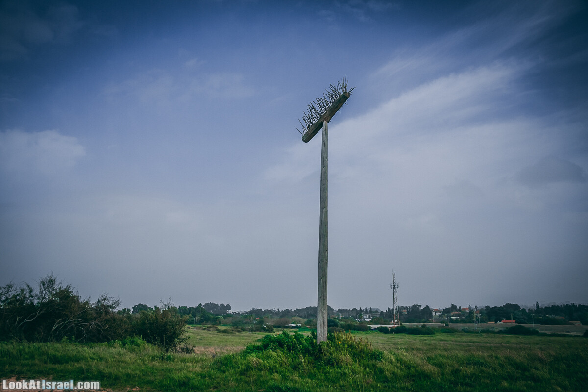 Побережье от Шфаим до Арсуф и Зеленая галерея - парк Дина - Сад скульптур на природе | LookAtIsrael.com - Фото путешествия по Израилю