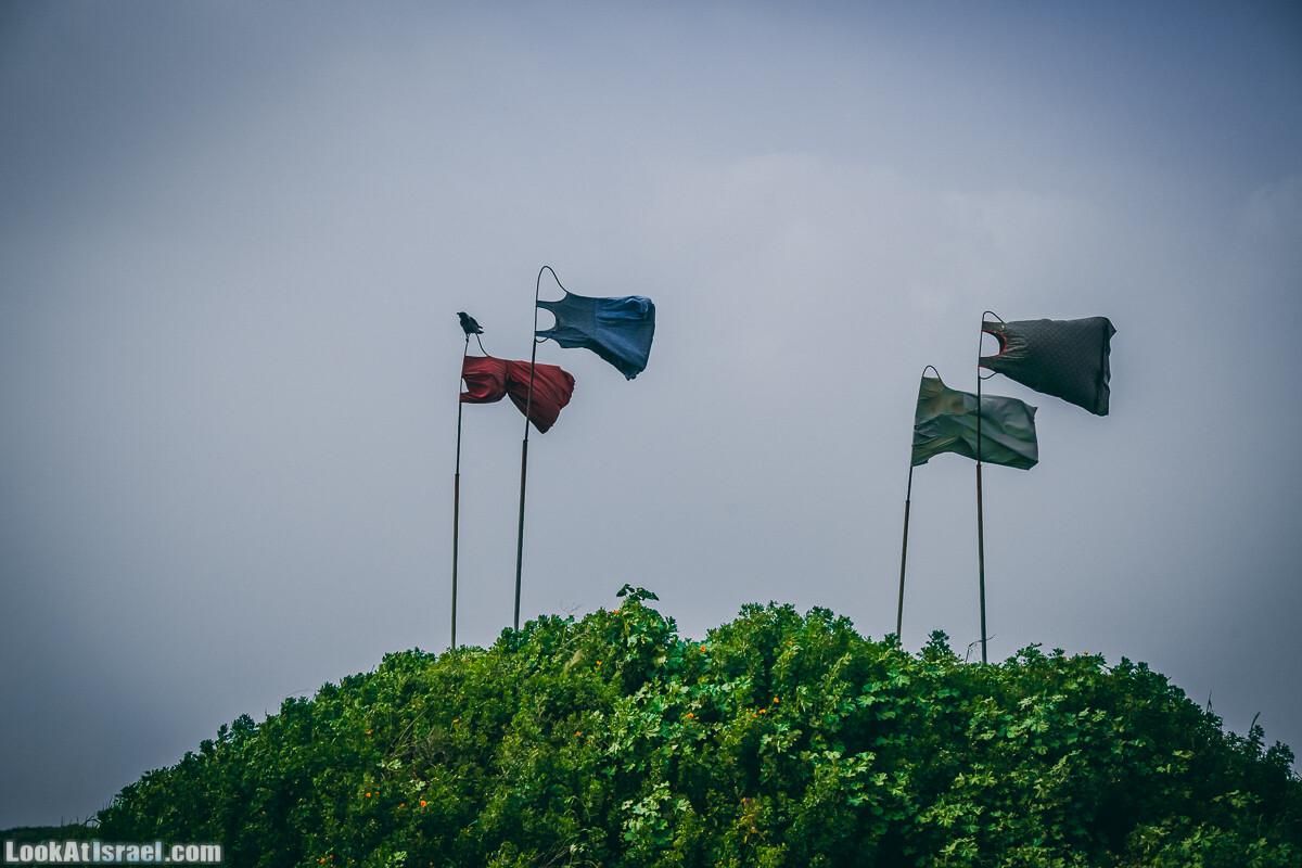 Побережье от Шфаим до Арсуф и Зеленая галерея - парк Дина - Сад скульптур на природе | LookAtIsrael.com - Фото путешествия по Израилю