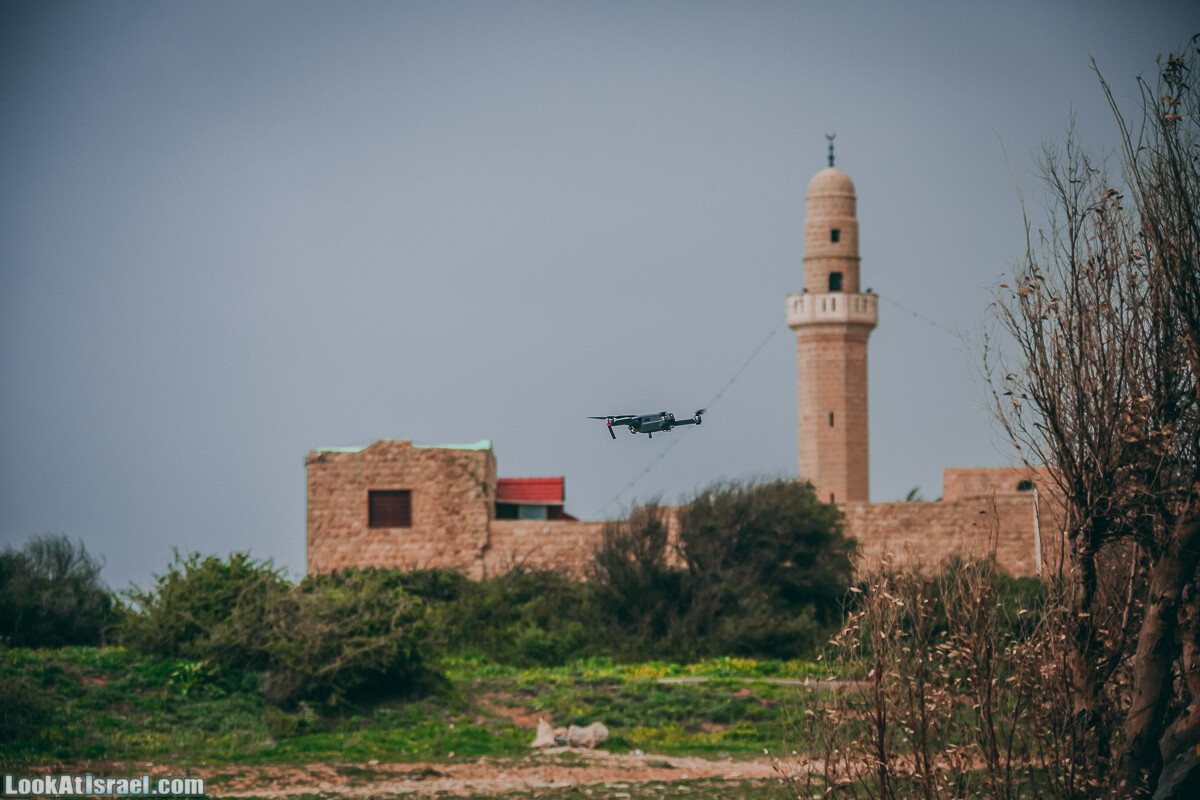 Побережье от Шфаим до Арсуф и Зеленая галерея - парк Дина - Сад скульптур на природе | LookAtIsrael.com - Фото путешествия по Израилю