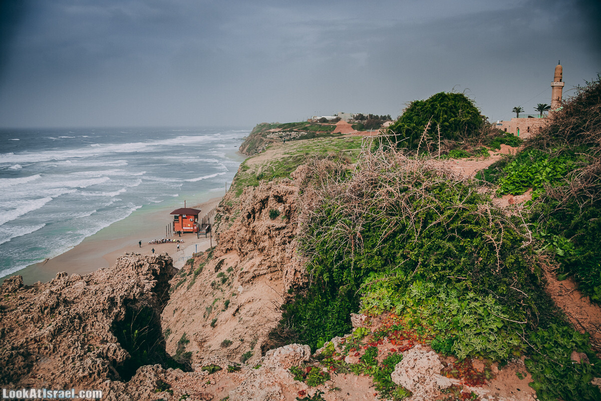 Побережье от Шфаим до Арсуф и Зеленая галерея - парк Дина - Сад скульптур на природе | LookAtIsrael.com - Фото путешествия по Израилю