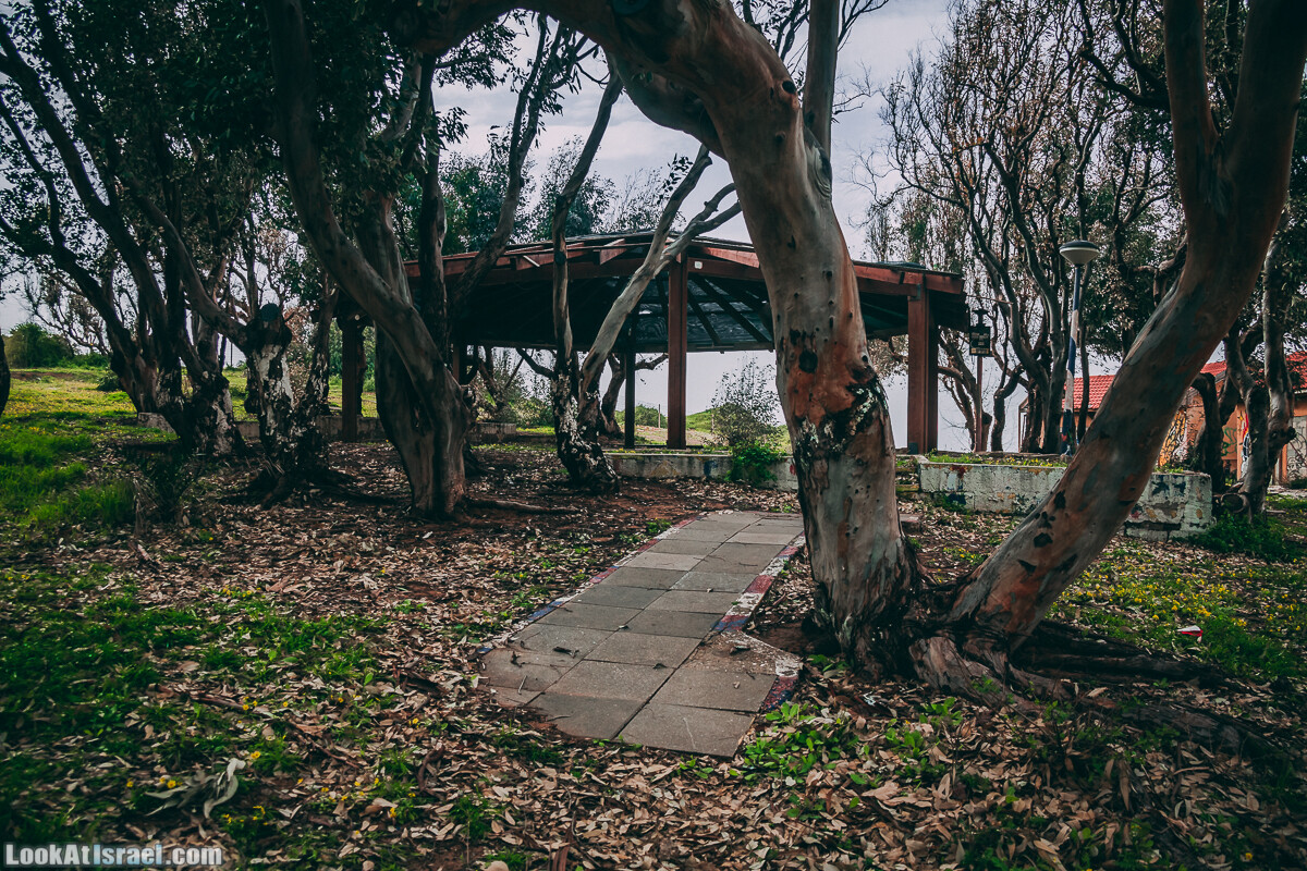 Побережье от Шфаим до Арсуф и Зеленая галерея - парк Дина - Сад скульптур на природе | LookAtIsrael.com - Фото путешествия по Израилю