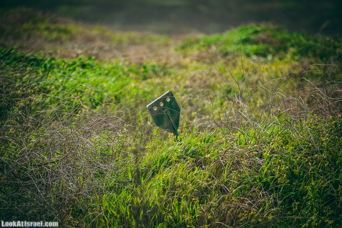 Побережье от Шфаим до Арсуф и Зеленая галерея - парк Дина - Сад скульптур на природе | LookAtIsrael.com - Фото путешествия по Израилю