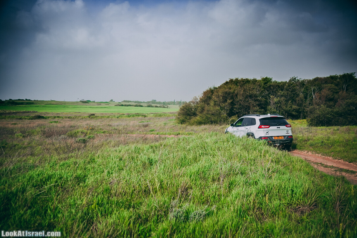 Побережье от Шфаим до Арсуф и Зеленая галерея - парк Дина - Сад скульптур на природе | LookAtIsrael.com - Фото путешествия по Израилю