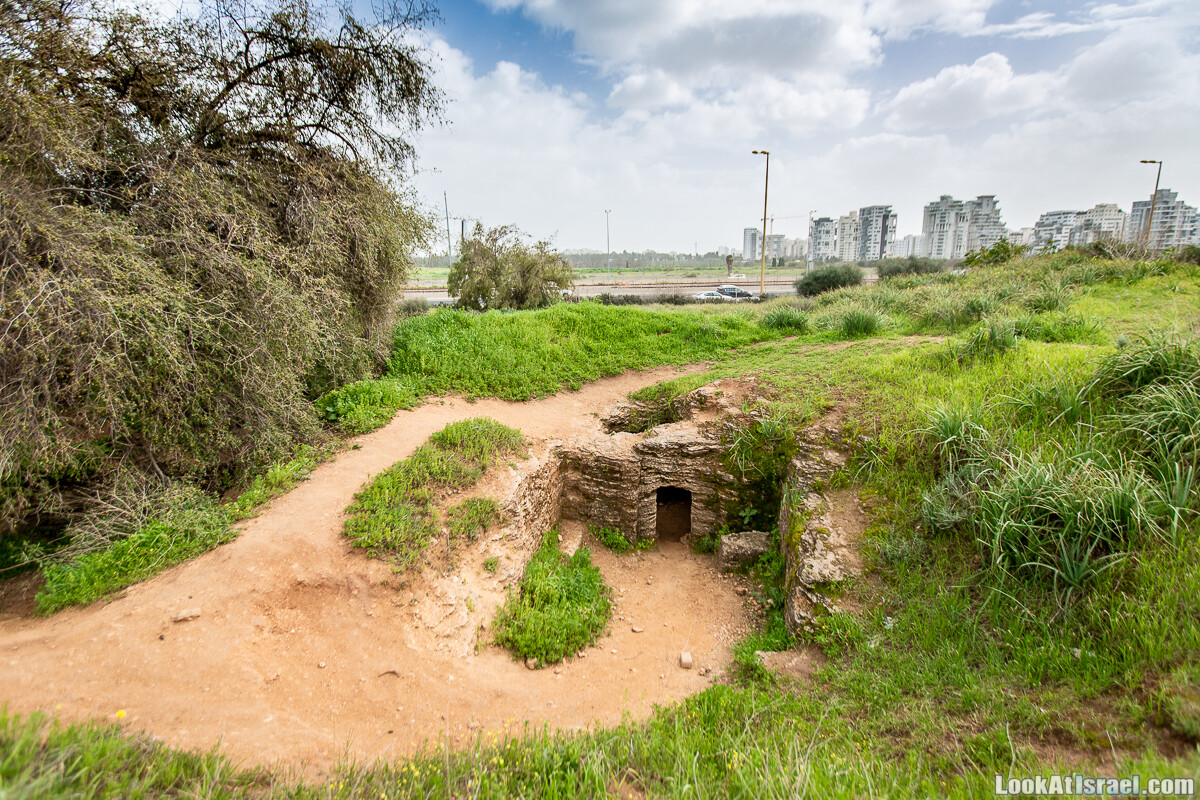 Афека - тель-авивское цветение, кладбище самаритян и реабилитация деревьев
