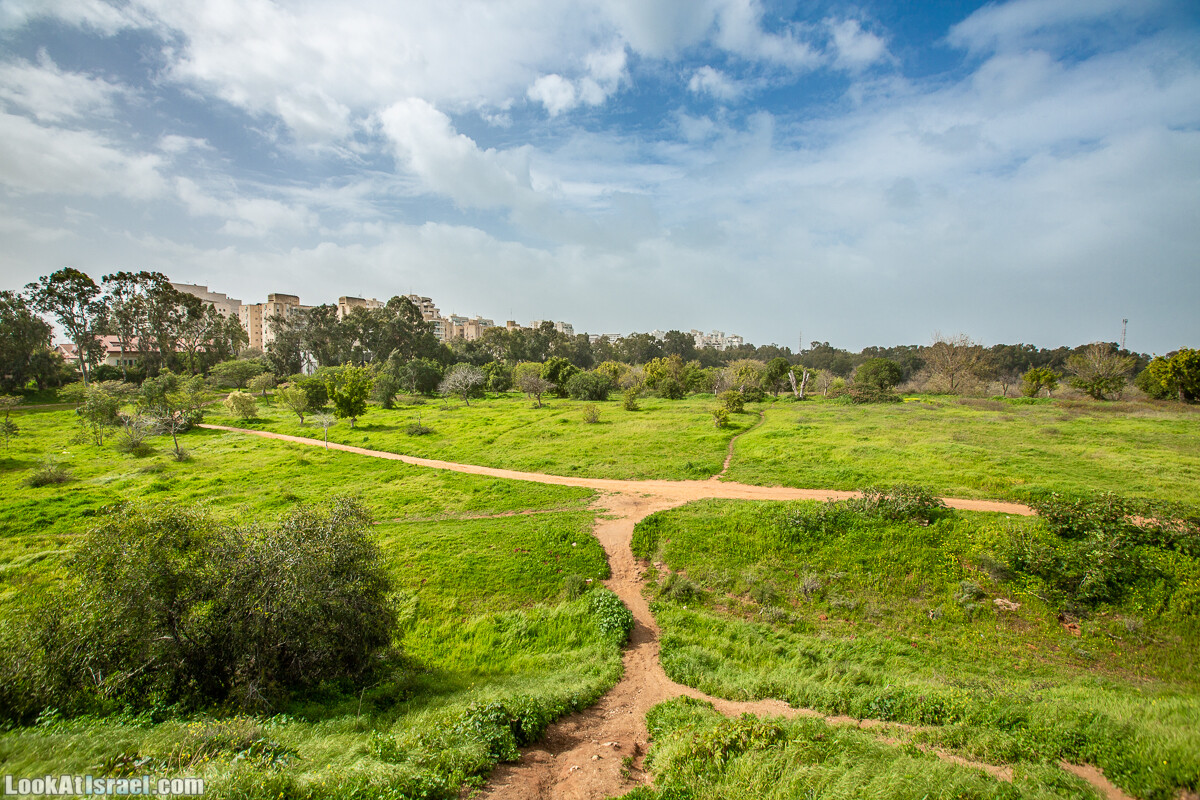 Пещеры Афека (меарот афека) Кладбище самаритян, поле нарциссов и парк восстанавливающихся деревьев | Afeka Caves | מערות אפקה | LookAtIsrael.com - Фото путешествия по Израилю