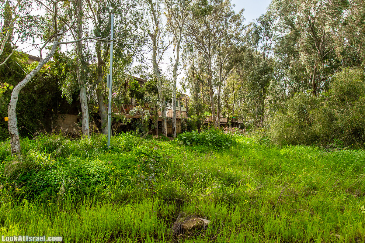 Пещеры Афека (меарот афека) Кладбище самаритян, поле нарциссов и парк восстанавливающихся деревьев | Afeka Caves | מערות אפקה | LookAtIsrael.com - Фото путешествия по Израилю
