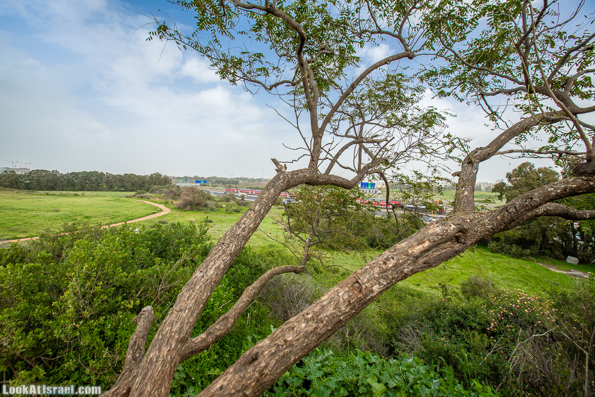 Пещеры Афека (меарот афека) Кладбище самаритян, поле нарциссов и парк восстанавливающихся деревьев | Afeka Caves | מערות אפקה | LookAtIsrael.com - Фото путешествия по Израилю