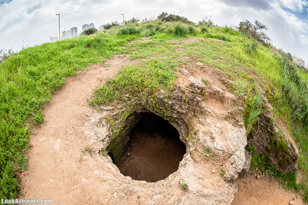 Пещеры Афека (меарот афека) Кладбище самаритян, поле нарциссов и парк восстанавливающихся деревьев | Afeka Caves | מערות אפקה | LookAtIsrael.com - Фото путешествия по Израилю