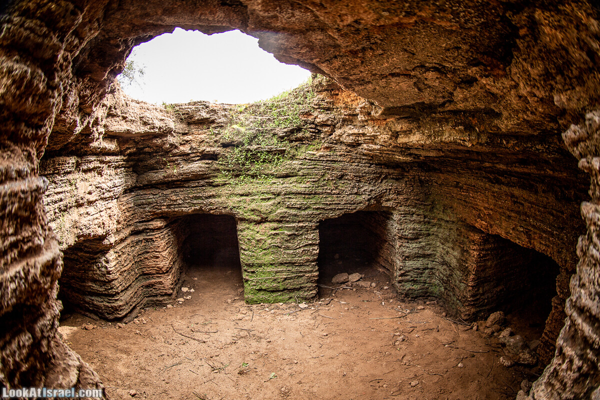 Пещеры Афека (меарот афека) Кладбище самаритян, поле нарциссов и парк восстанавливающихся деревьев | Afeka Caves | מערות אפקה | LookAtIsrael.com - Фото путешествия по Израилю